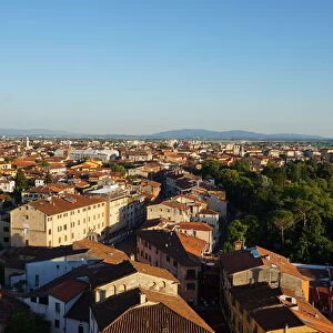 Rooftops of Pisa seen from Leaning Tower, Pisa, Italy