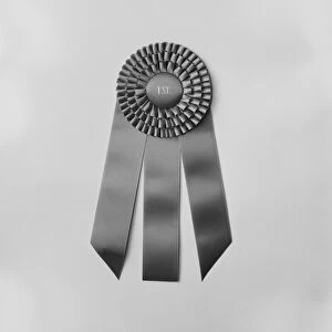 Rosette against white background, close-up