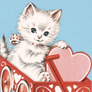 Valentine kitten