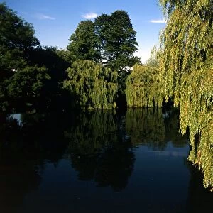 172 Thames at Sonning. England