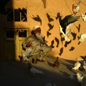 Afghan Pigeon Fancier Print Afghan Pigeon Fancier Print