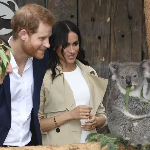 : Royals Australia Tour