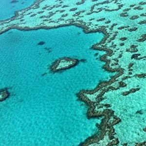 Australia-Conservation-Environment-Barrier Reef