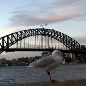 Australia-Economy-Tourism Australia-Economy-Tourism