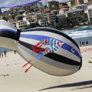 Australia-Kites-Whale-Bondi Australia-Kites-Whale-Bondi