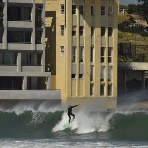 Print of a surfer riding a wave at Bondi Beach