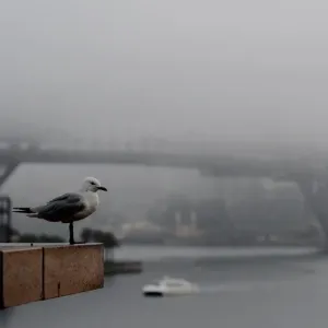 Australia-Weather-Fog