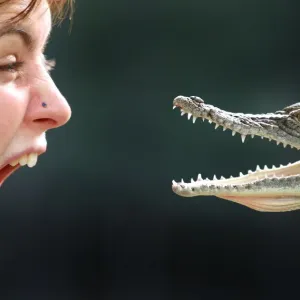 Australia-Wildlife-Crocodile Australia-Wildlife-Crocodile