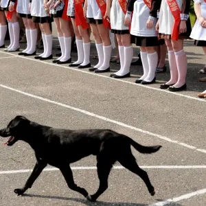 Belarus-Ceremony-Dog