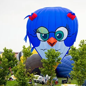 A bird-shape hot-air balloon raises during the 21th European Balloon Festival in Igualada