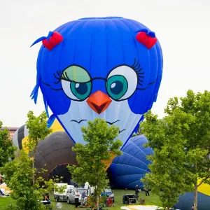 A bird-shaped hot-air balloon print A bird-shaped hot-air balloon print