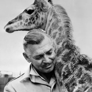 Boi-Clark Gable Boi-Clark Gable