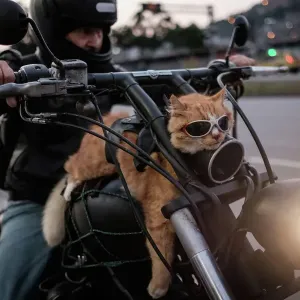 : Offbeat Quirky Images