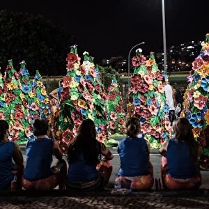 Brazil-Rio-Carnival-Sao Clemente