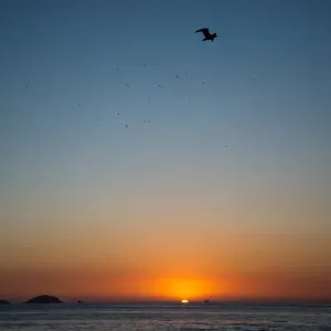Brazil-Rio-Dawn-Feature Brazil-Rio-Dawn-Feature