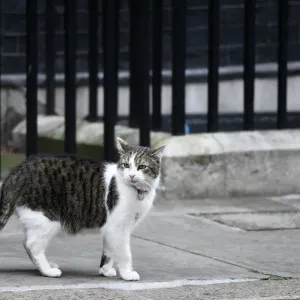 : Britain and UK
