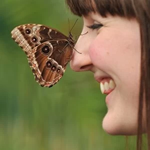 Britain-Env-Nature-Butterflies