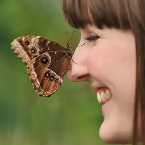 Britain-Env-Nature-Butterflies Britain-Env-Nature-Butterflies