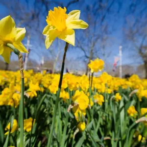 Britain-Weather-Spring Britain-Weather-Spring