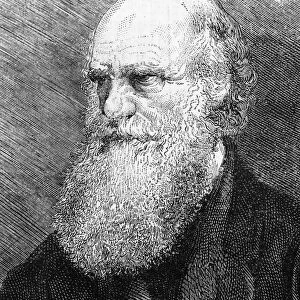 Charles Darwin Engraving