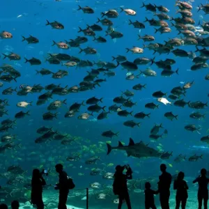 China-Lifestyle-Tourism China-Lifestyle-Tourism