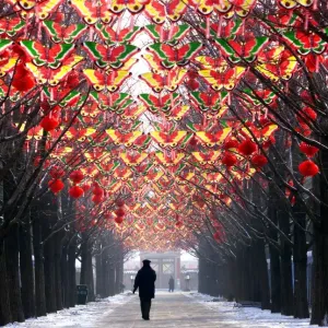 China-New Year-Decorations-Butterflies China-New Year-Decorations-Butterflies