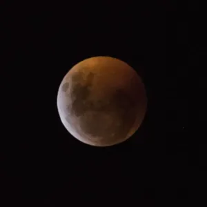 Print of a Total Lunar Eclipse