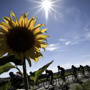 Print of a Cycling Scene from the 2016 Tour de France Print of a Cycling Scene from the 2016 Tour de France