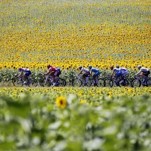 Cycling-Fra-Tdf-2010-Breakaway-Postcard