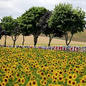 Tour De France Collection: Tour de France - Flowers