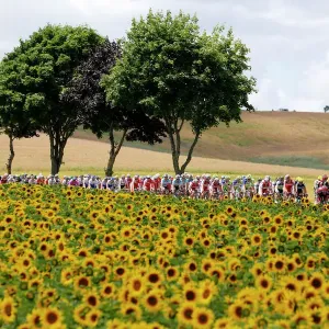 Tour De France - Flowers