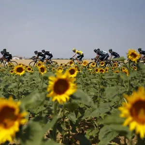 Cycling-Fra-Tdf2013-Pack-Postcard