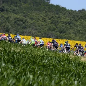 Cycling-Fra-Tdf2014-Postcard
