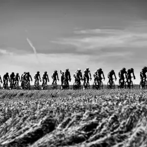 Cycling-Fra-Tdf2017-Pack-Postcard-Black and White Cycling-Fra-Tdf2017-Pack-Postcard-Black and White