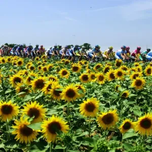 Cycling-Tdf2005-Pack
