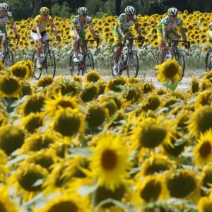 Cycling-Tdf2006-Feature