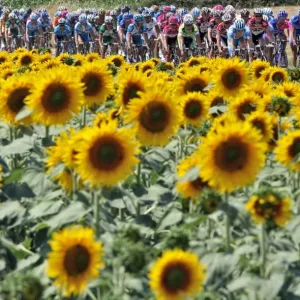 Cycling-Tdf2006-Postcard