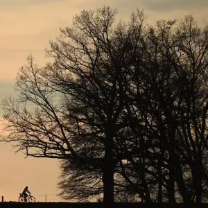 A cyclist passes along a country lane near the small Bavarian village of Puchheim near Munich
