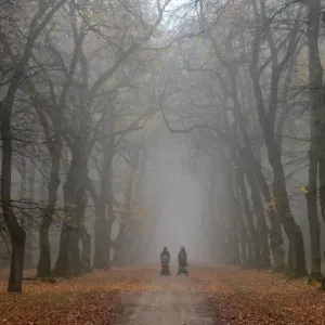 Czech-Nature-Weather-Feature