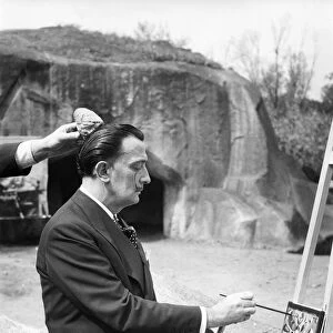 Dali Painting, Vincennes Zoo