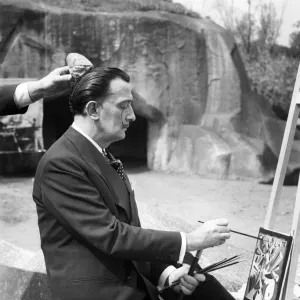 Dali Painting, Vincennes Zoo