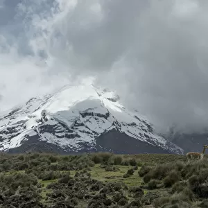 Ecuador-Water-Glacier-Melting-Nature