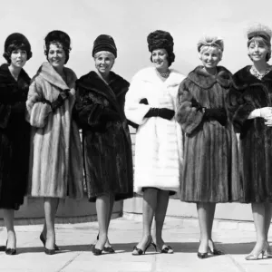 Fashion-Fur-Show Fashion-Fur-Show