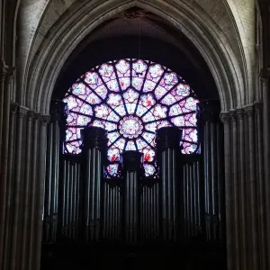 Print of Stained-Glass Windows at Notre Dame de Paris Print of Stained-Glass Windows at Notre Dame de Paris