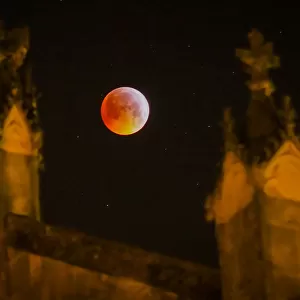 Amazing Moon Collection: Super Blood Wolf Moon