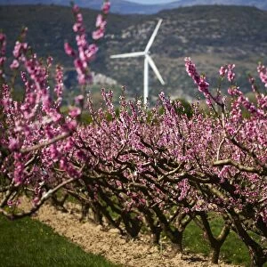 France-Agriculture-Fruits-Orchards-Spring-Weather-Feature