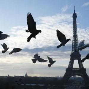 France-Eiffel-Tower-Feature
