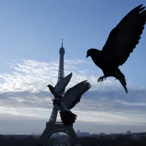 France-Feature-Eiffel-Tower