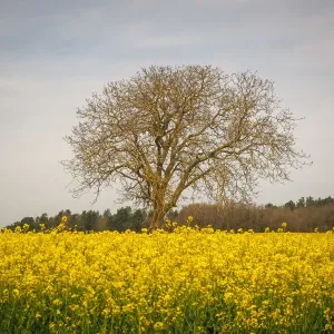 France-Nature-Feature France-Nature-Feature