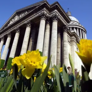 France-Paris-Pantheon-Flowers France-Paris-Pantheon-Flowers